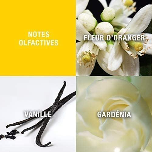 Fleur d'Oranger, Vanille, Gardénia scent notes visual guide