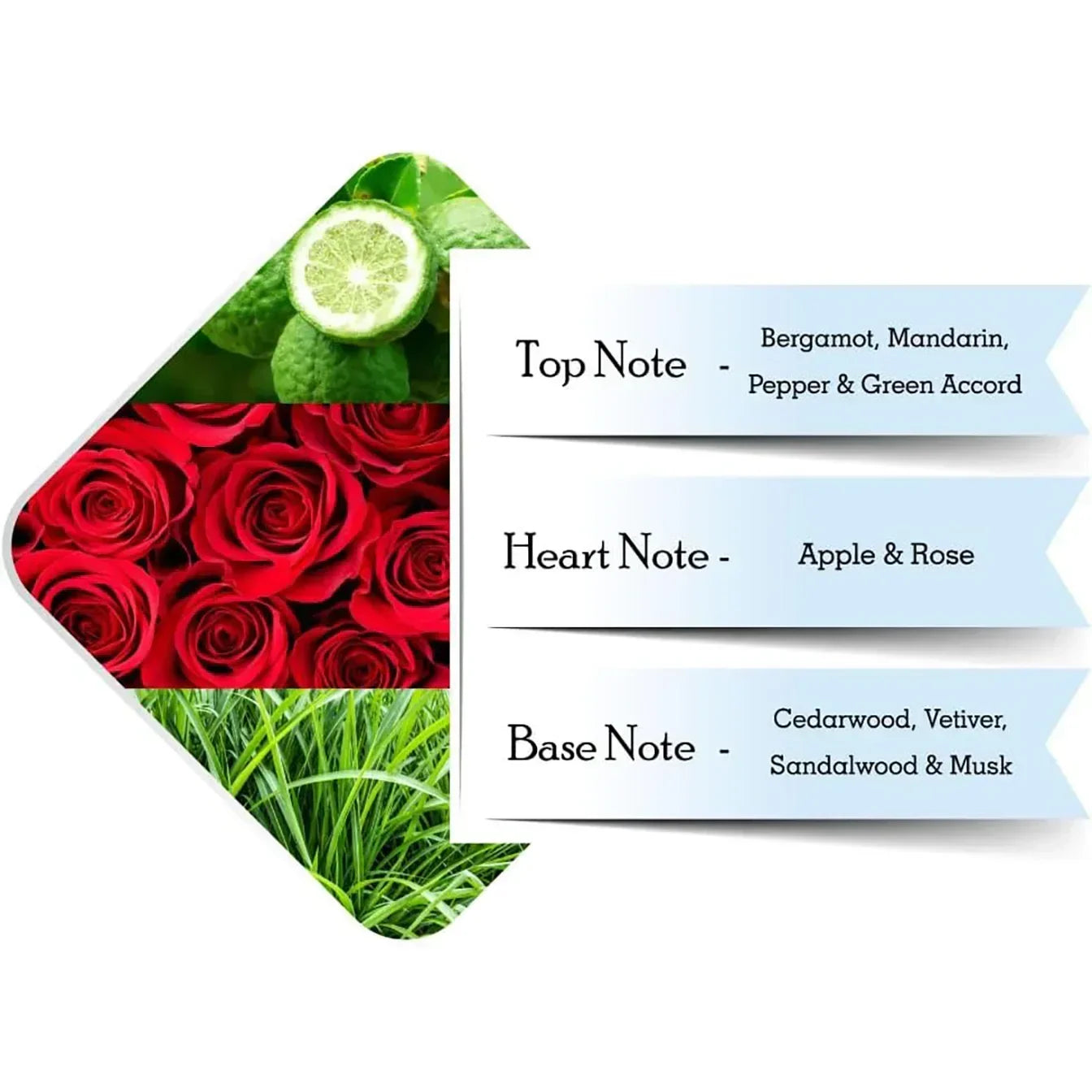 Fragrance notes chart showing top, heart, and base notes with lime, roses, and grass visuals