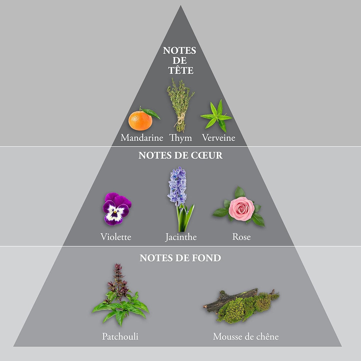 Evaflor Whisky Silver Eau de Toilette 100ml