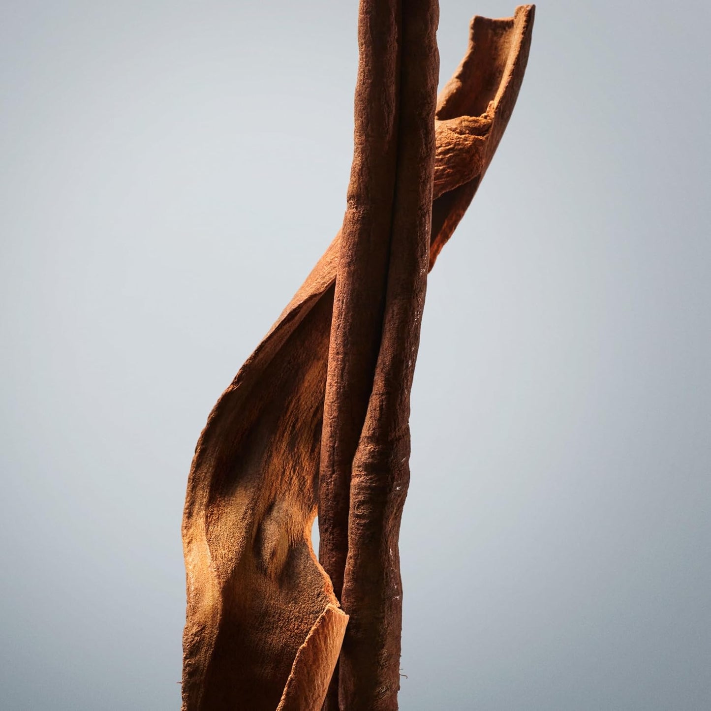 Hugo Boss Boss Bottled Deodorant Stick 75ml