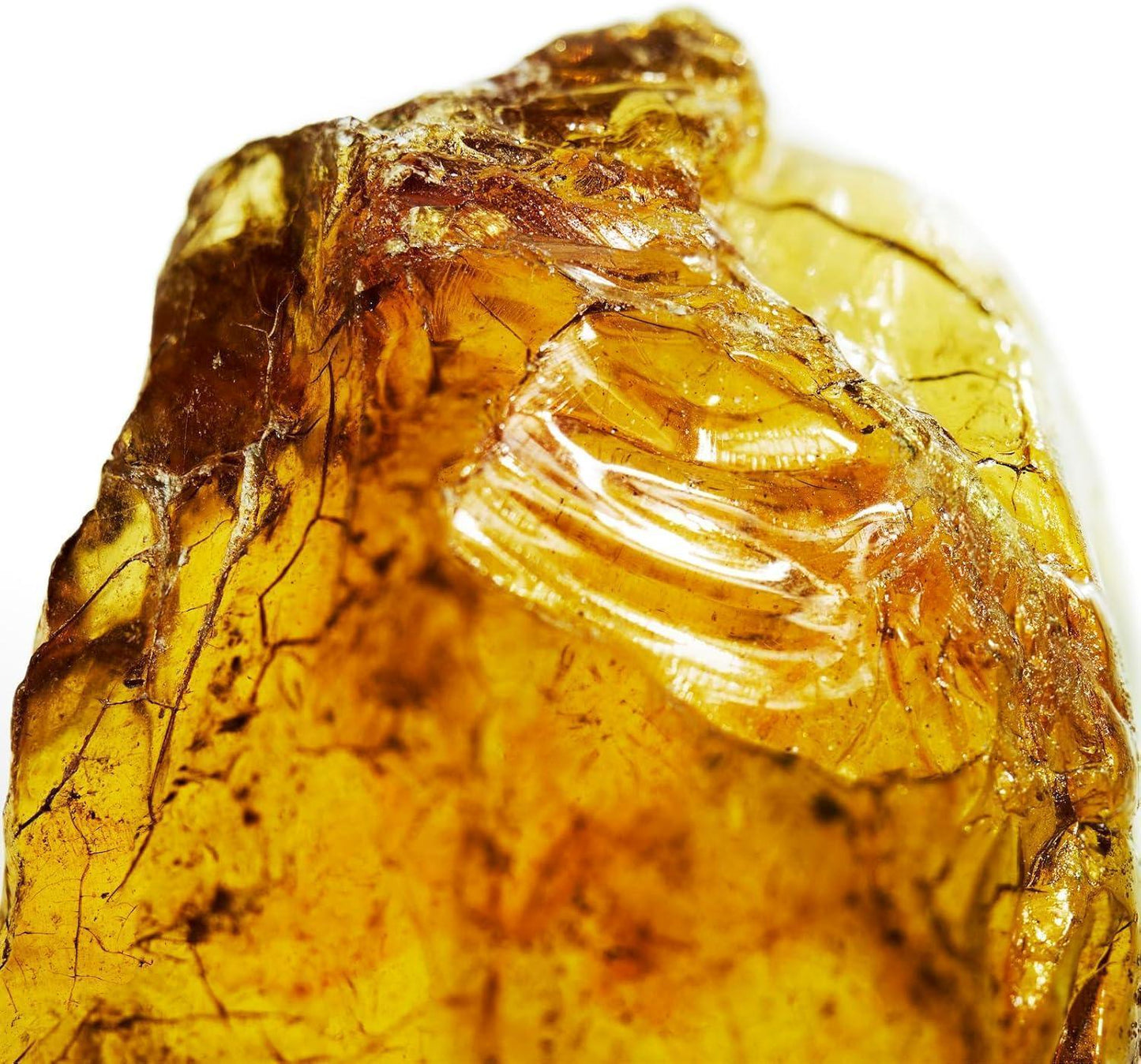 Amber resin with preserved insect inclusion, golden translucent texture