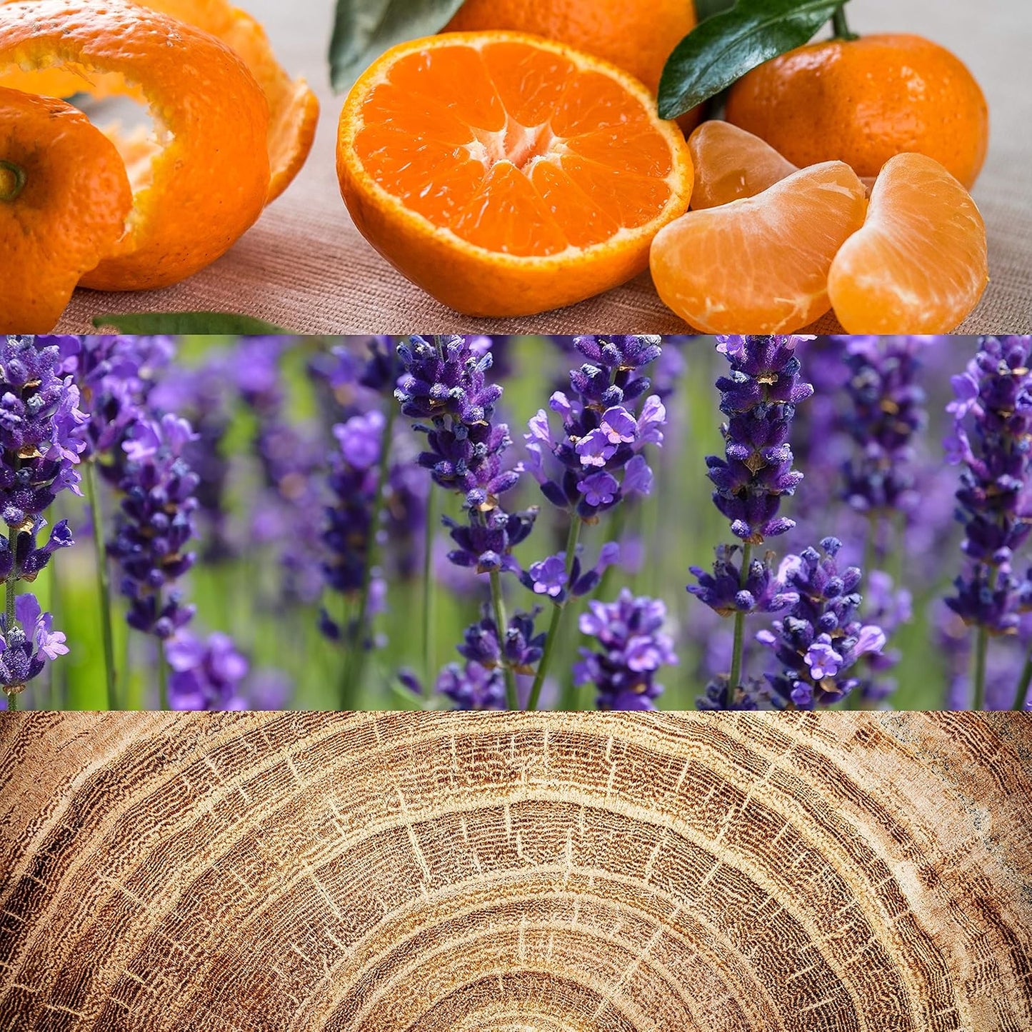 Calvin Klein Obsession for Men Eau De Toilette Spray 125ml