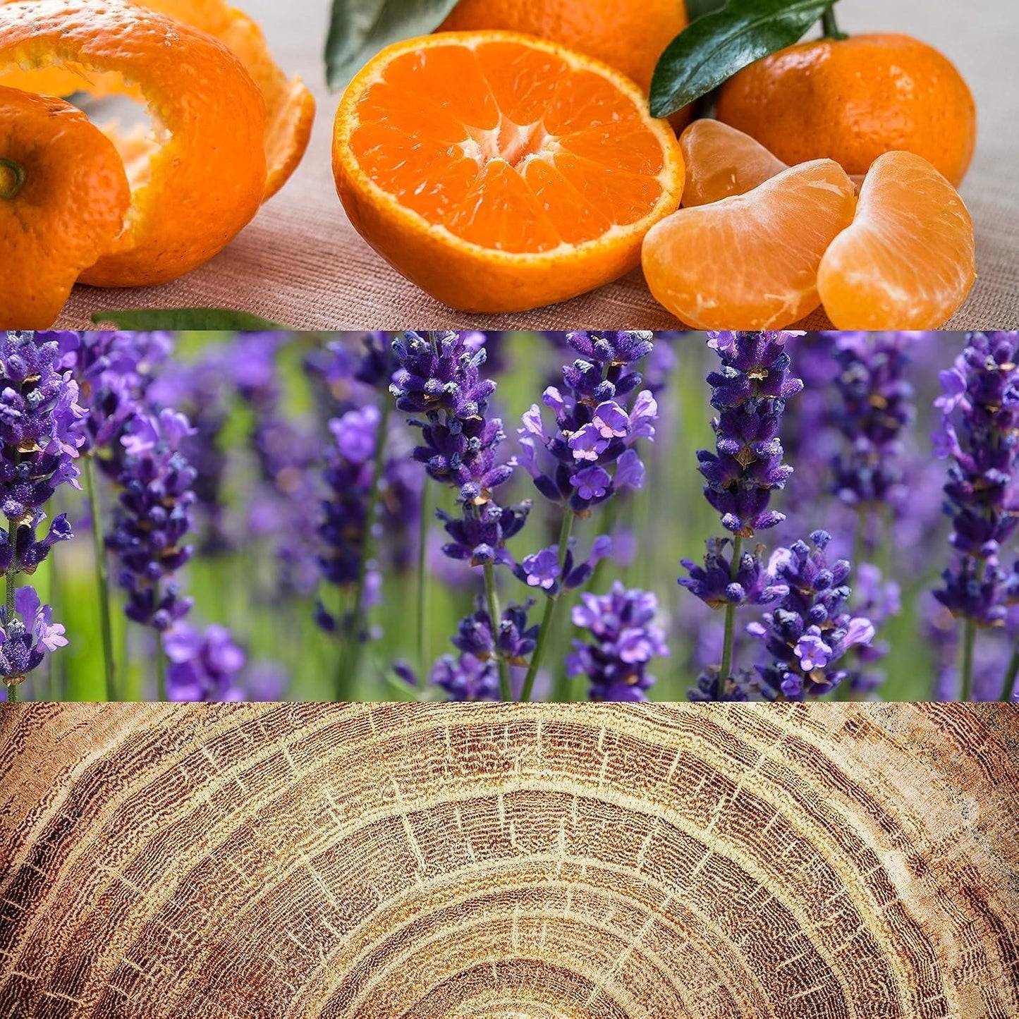 Fresh oranges, lavender blooms, and tree rings showcasing natural fragrance notes