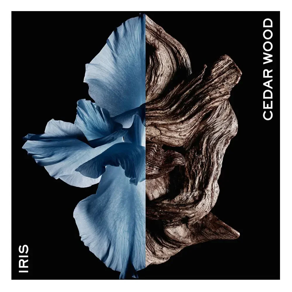 Iris and Cedar Wood fragrance visual, split floral and woody texture on black background