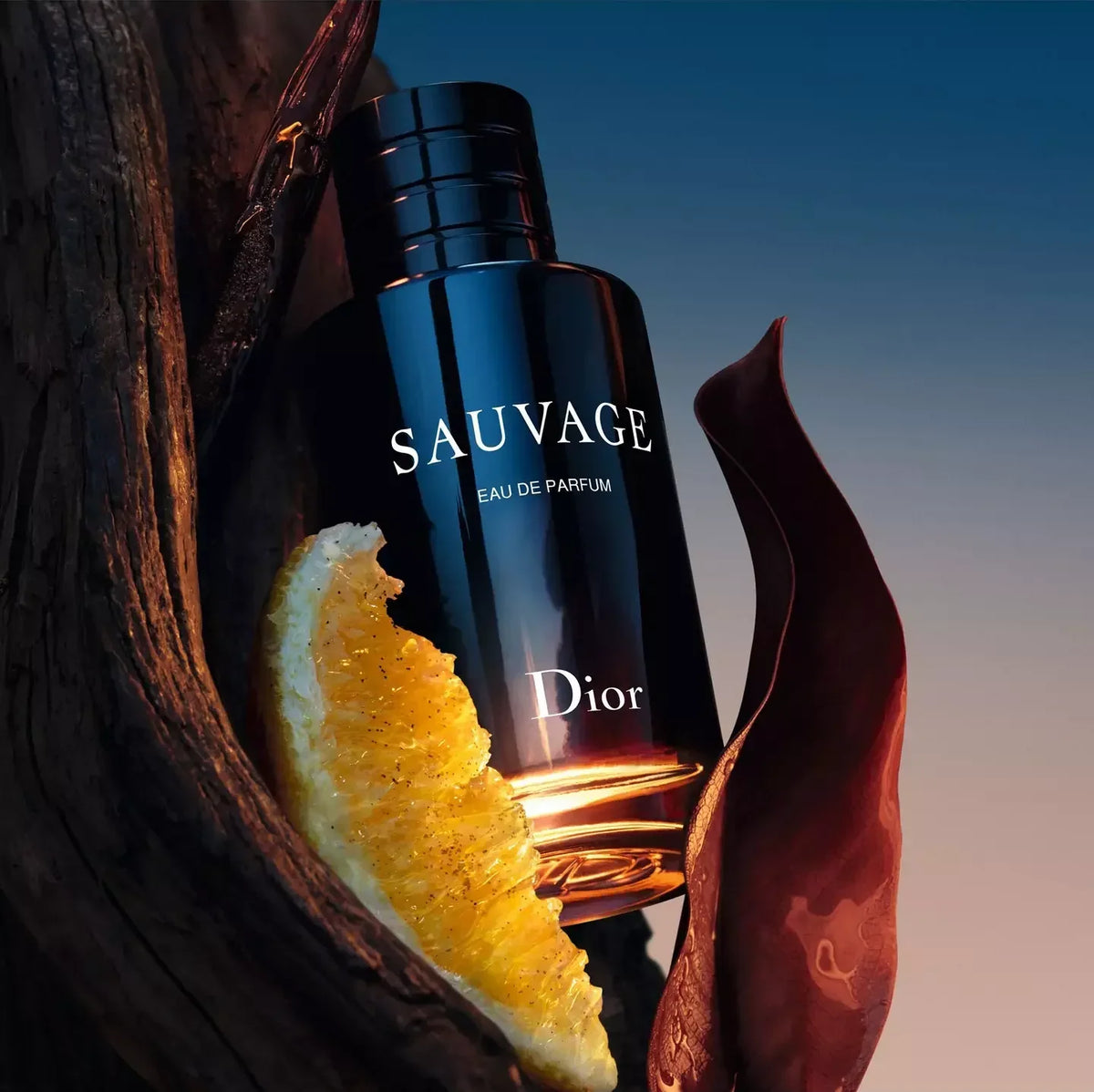 Dior Sauvage Eau de Parfum bottle in a dark glossy finish, styled with a citrus slice and a brown leaf against a blue gradient background.