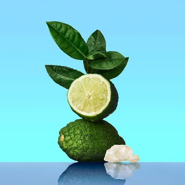 Calvin Klein CK One Unisex Deodorant Stick for Men & Women 75g-Perfumoi