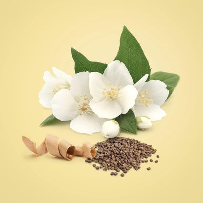 Calvin Klein Beauty Eau de Parfum 100ml