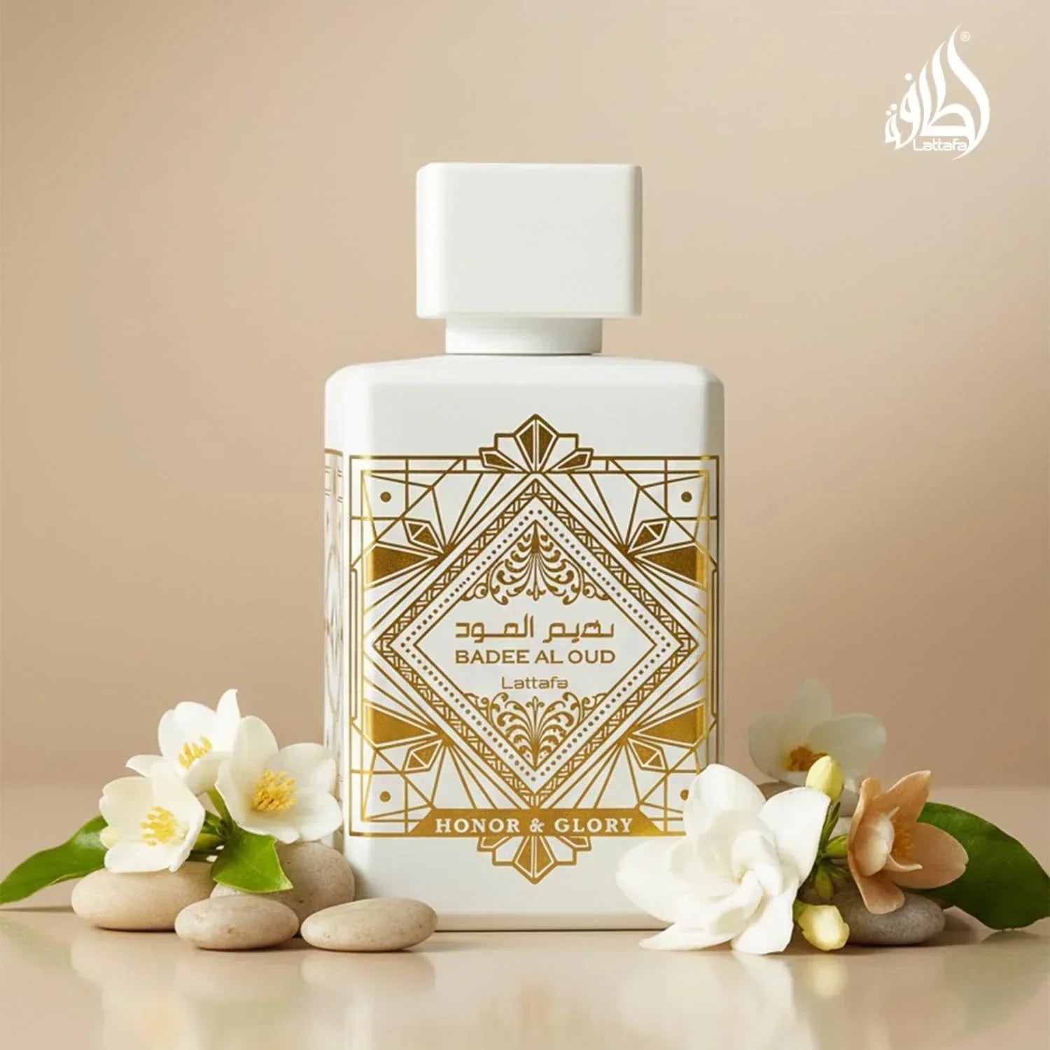 61kN2R_pWqL._AC_SL1500 - Perfumoi
