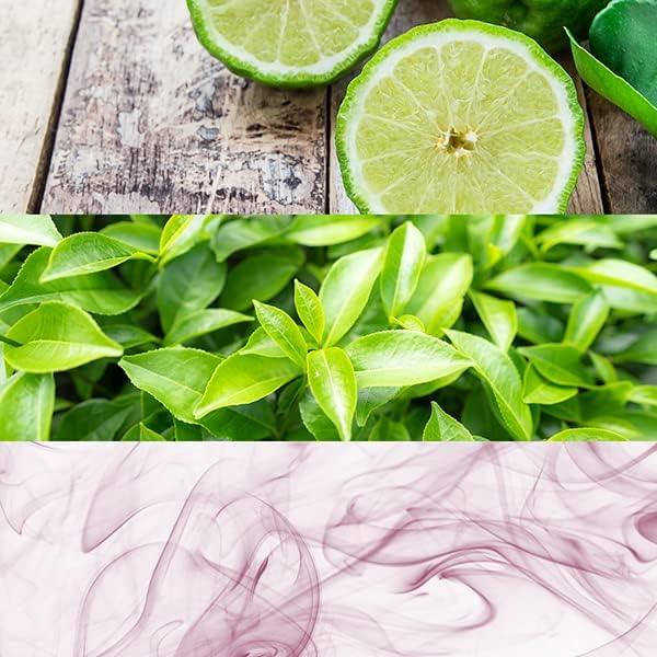 Calvin Klein CK One Unisex Deodorant Stick for Men & Women 75g-Perfumoi