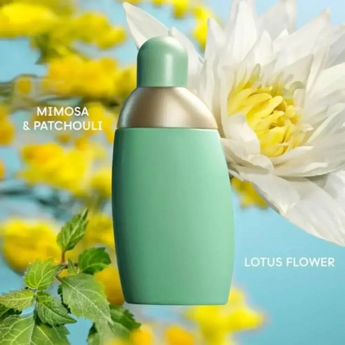 Mimosa & Patchouli Lotus Flower fragrance bottle with floral background