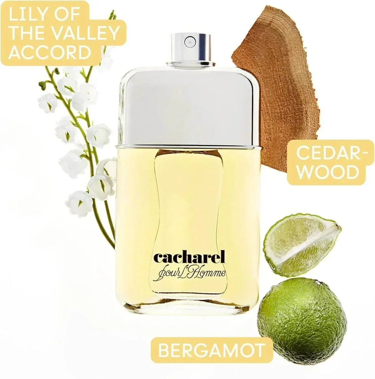 Cacharel Pour L'Homme Eau de Toilette 100ml fragrance bottle with bergamot, cedarwood, lily of the valley notes