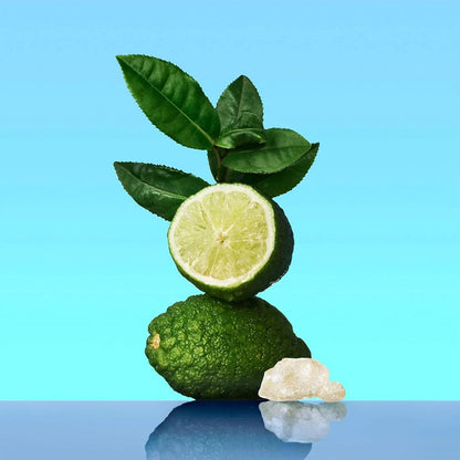 Calvin Klein Ck One Eau de Toilette-Perfumoi