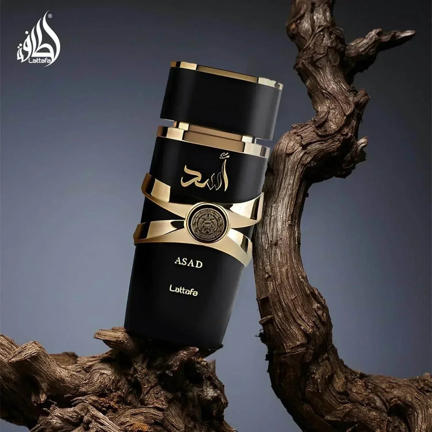 Lattafa Asad fragrance bottle with gold accents on wooden branch