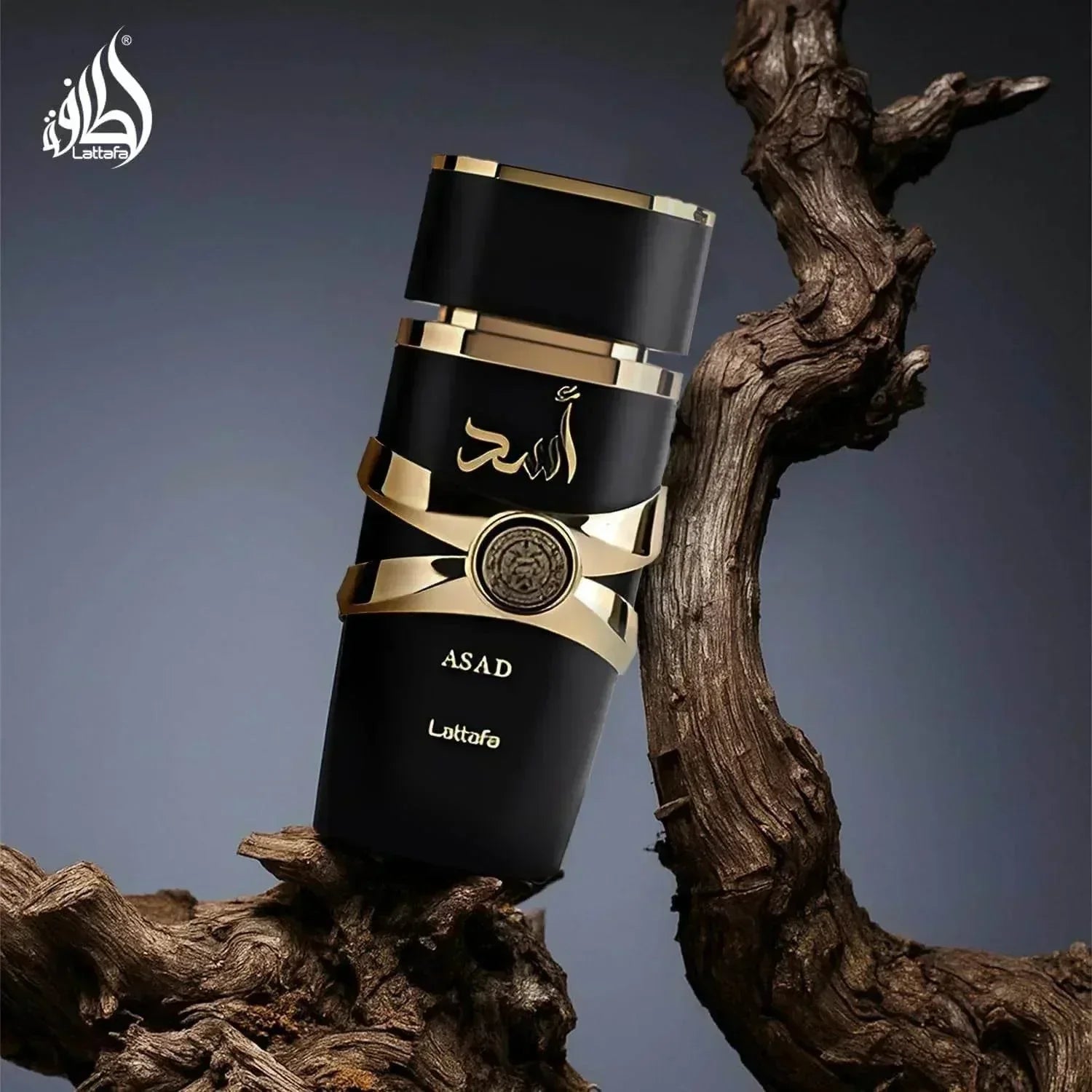 Lattafa Asad fragrance bottle with gold accents on wooden branch
