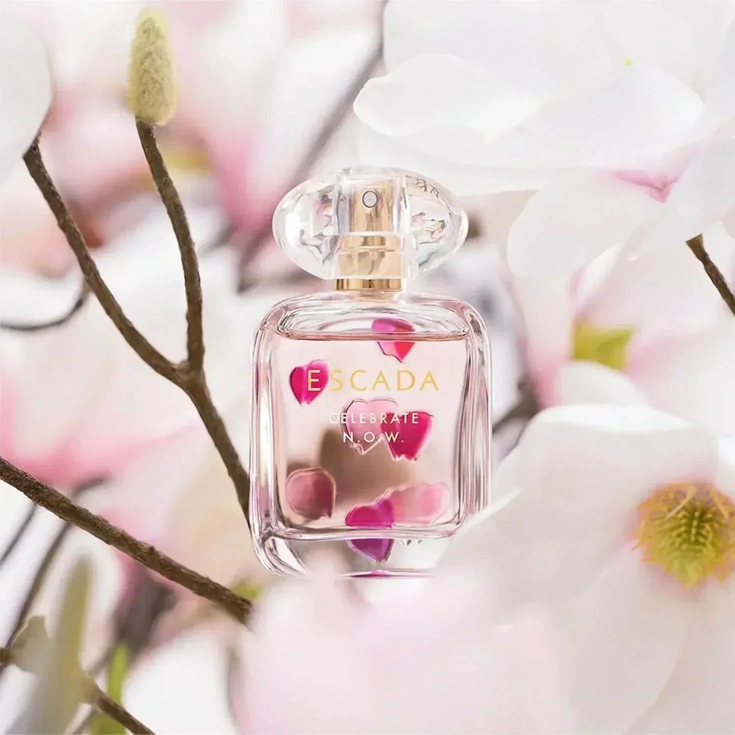Escada Celebrate N.O.W. Eau de Parfum 50ml fragrance bottle with floral background