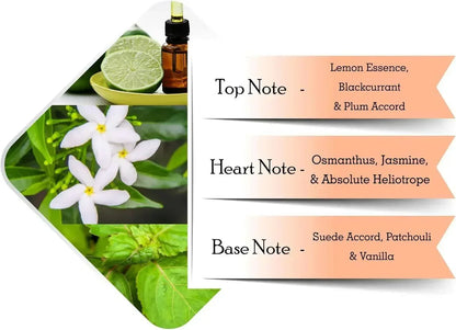 Fragrance notes chart with lime, jasmine, and vanilla visuals