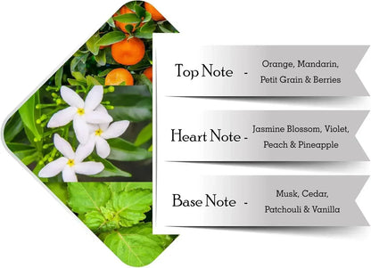 Fragrance notes chart showing top, heart and base notes with orange, jasmine and vanilla imagery