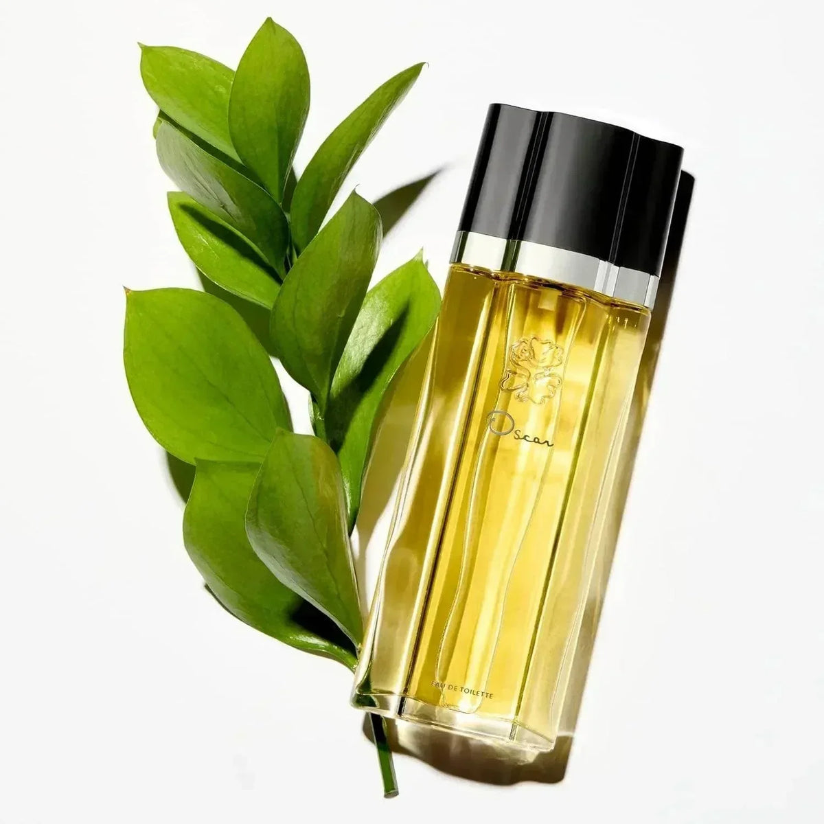 Oscar de la Renta Oscar Eau de Toilette fragrance bottle with green leaves
