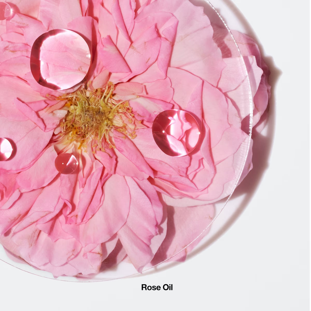 Clinique Aromatics Elixir Parfum Spray
