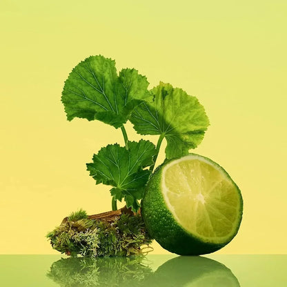 Fresh lime half with green leaves and moss on reflective surface