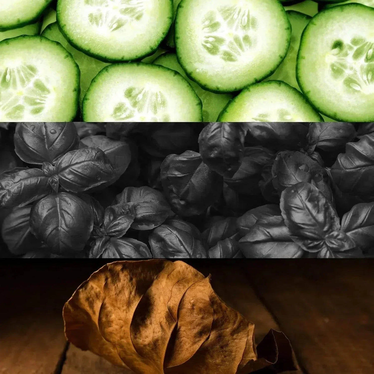 Sliced cucumber, fresh basil leaves, and dried tobacco leaf ingredients