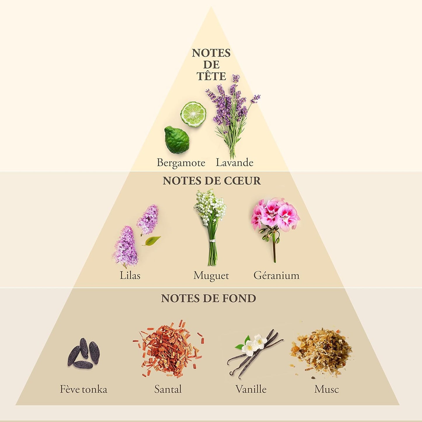 Evaflor Whisky Men Eau de Toilette 100ml