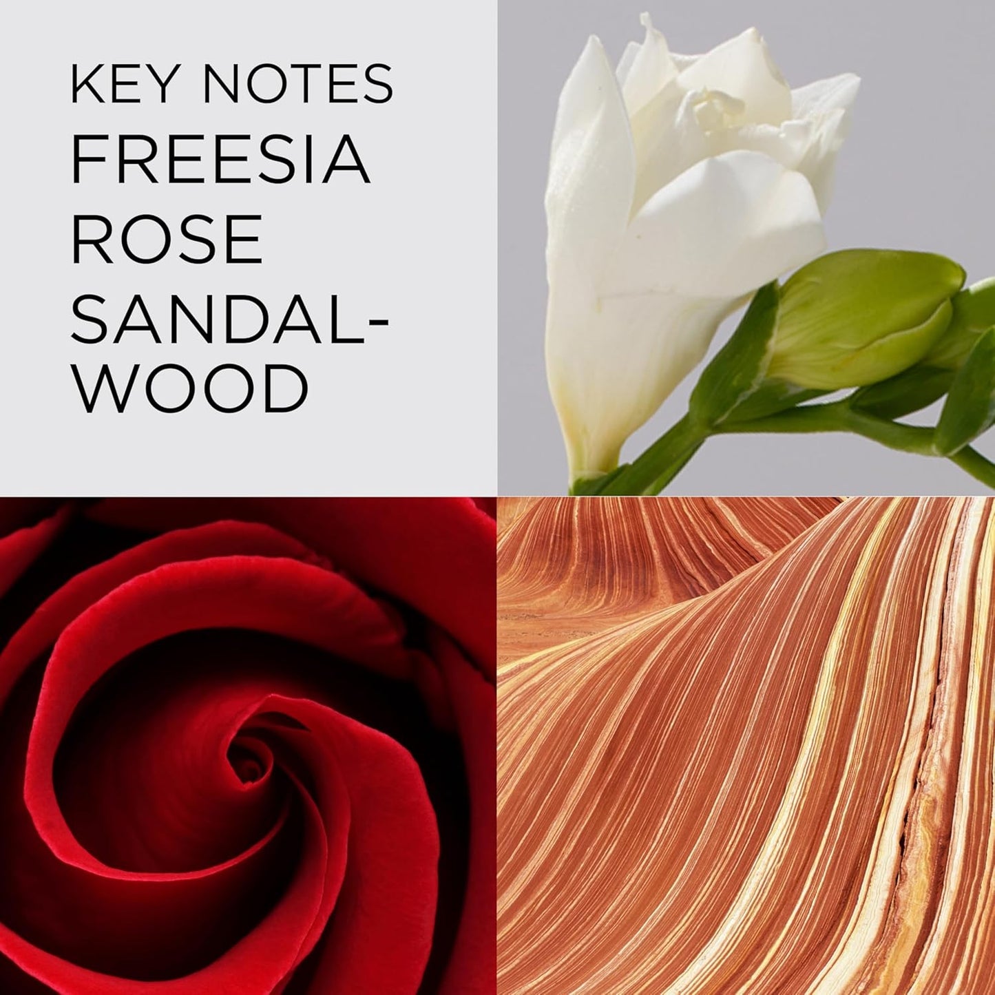 White freesia flower with text 'Key Notes Freesia Rose Sandalwood' and close-up of red rose and sandalwood texture.