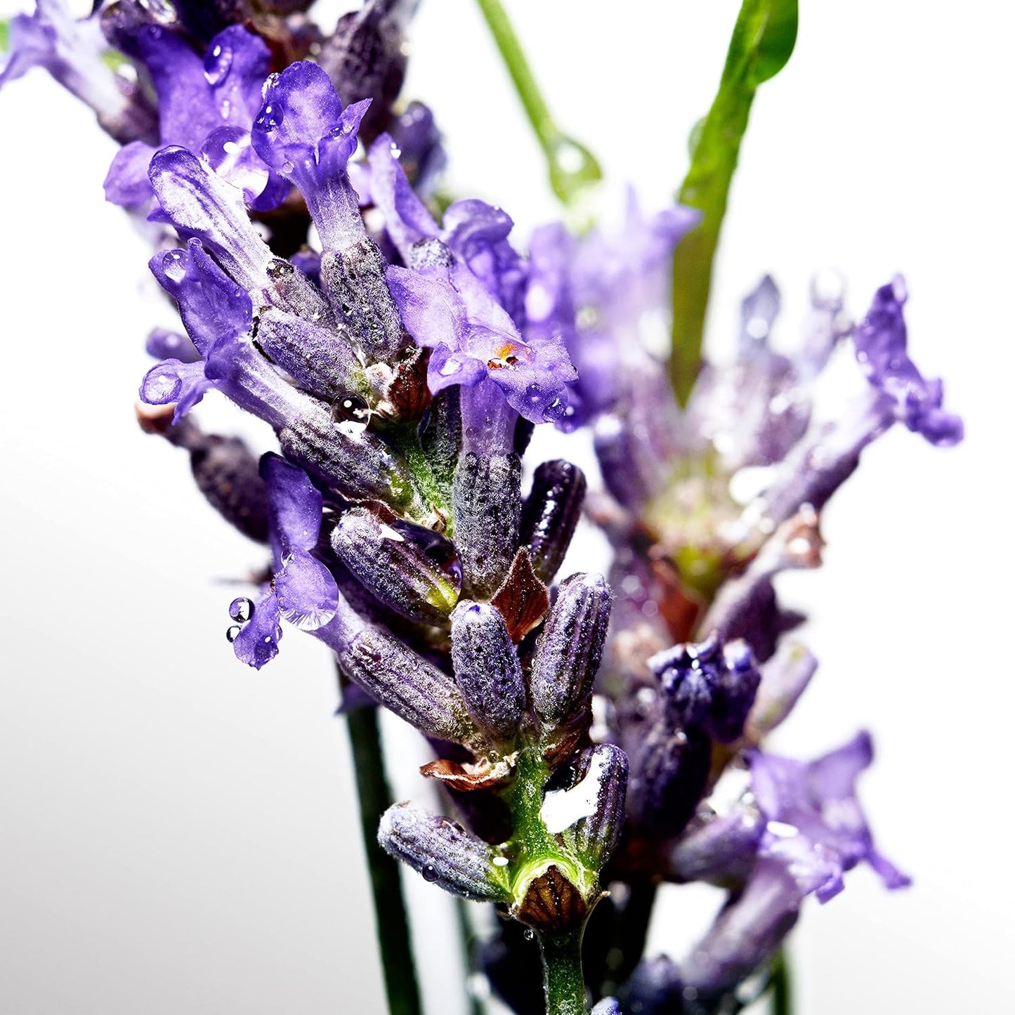 Davidoff Cool Water for Men Deodorant Stick 70g