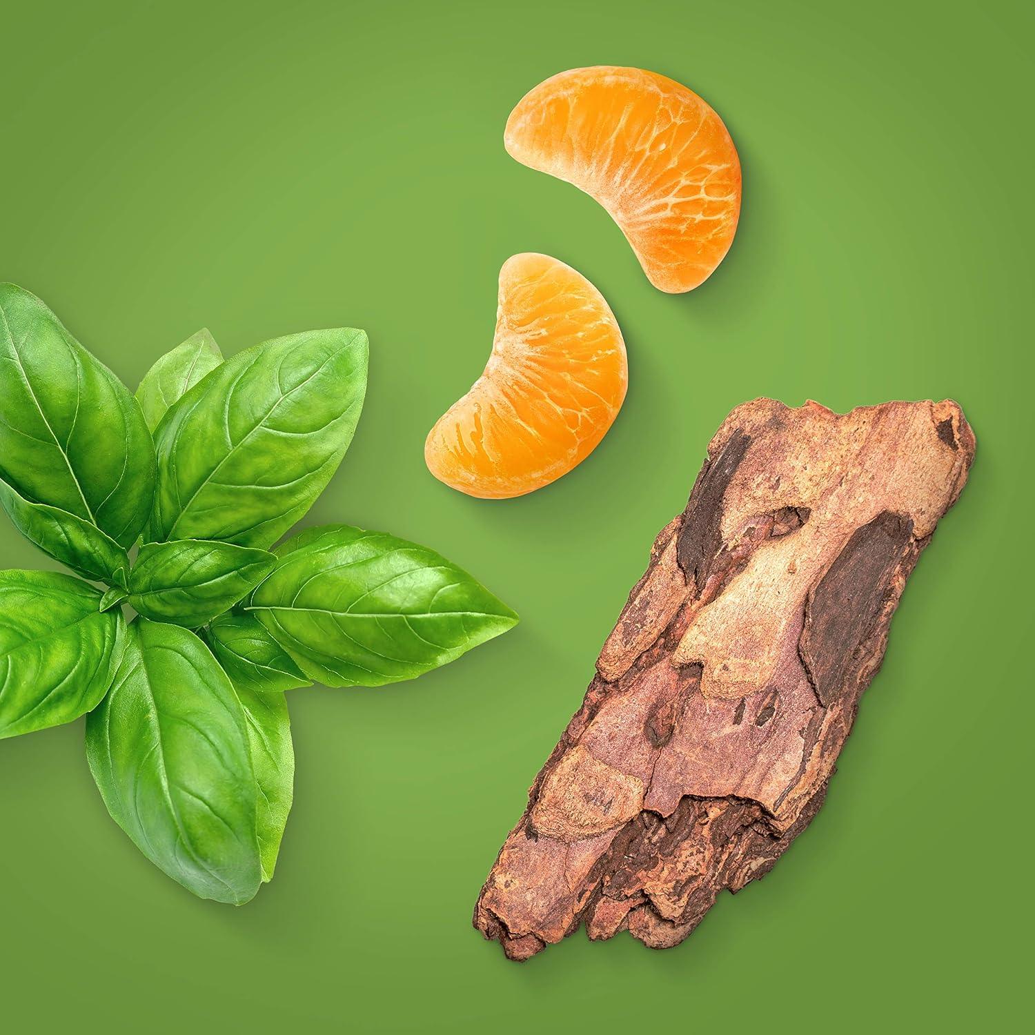 Basil leaves, dried orange peels, and a piece of wood on a green background