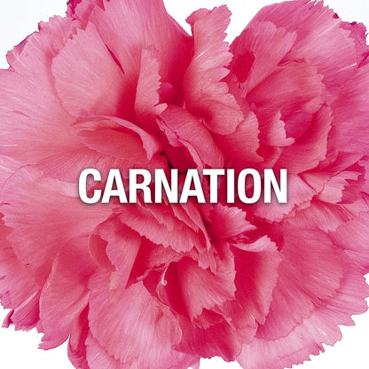 Giorgio Beverly Hills Red Eau de Toilette 30ml