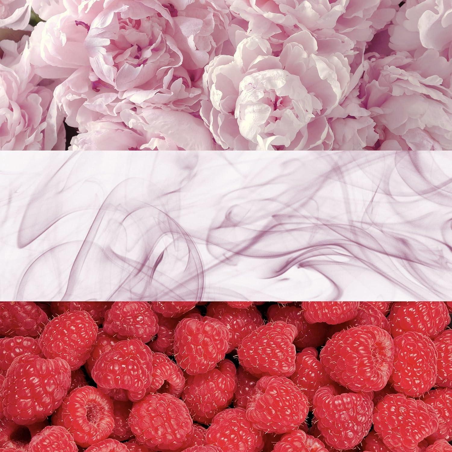 Pink peonies, swirling scent, and fresh raspberries visual composition