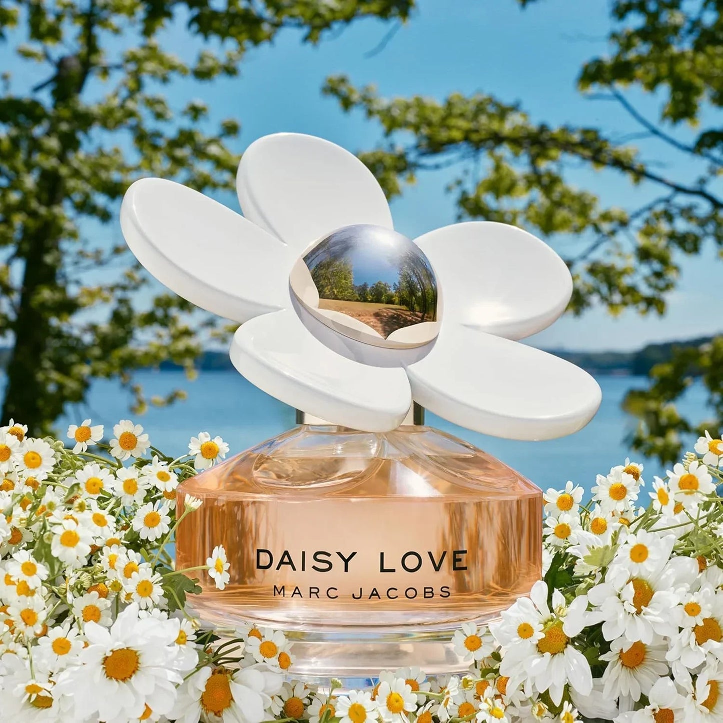 91UiSpIkFJL._AC_SL1500 - Perfumoi