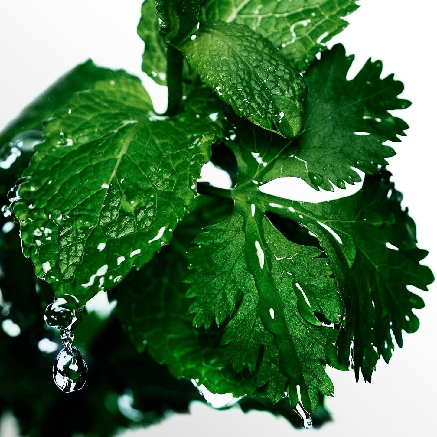 Davidoff Cool Water for Men Deodorant Stick 70g