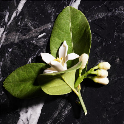 Joop! Homme Mild Deodorant Natural Spray 75ml