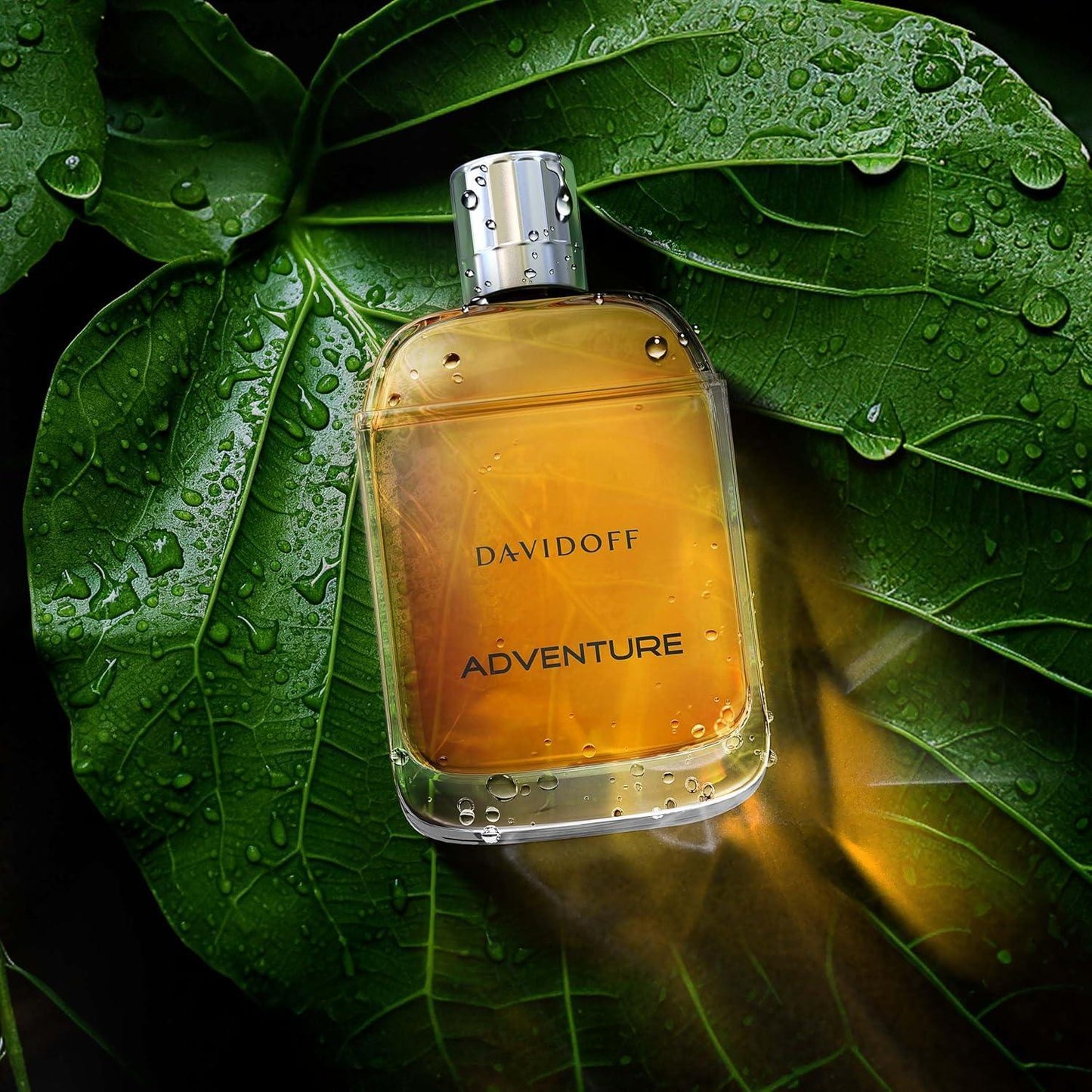 91ctgIYOpOL._AC_SL1500 - Perfumoi