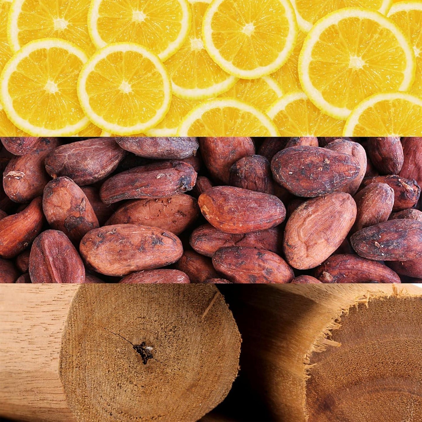 Sliced oranges, cocoa beans, and cut wood logs in layered composition