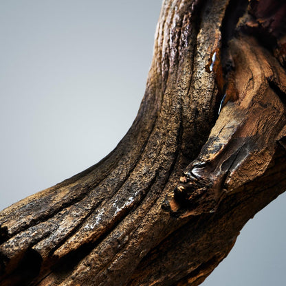 Hugo Boss Boss Bottled Deodorant Stick 75ml