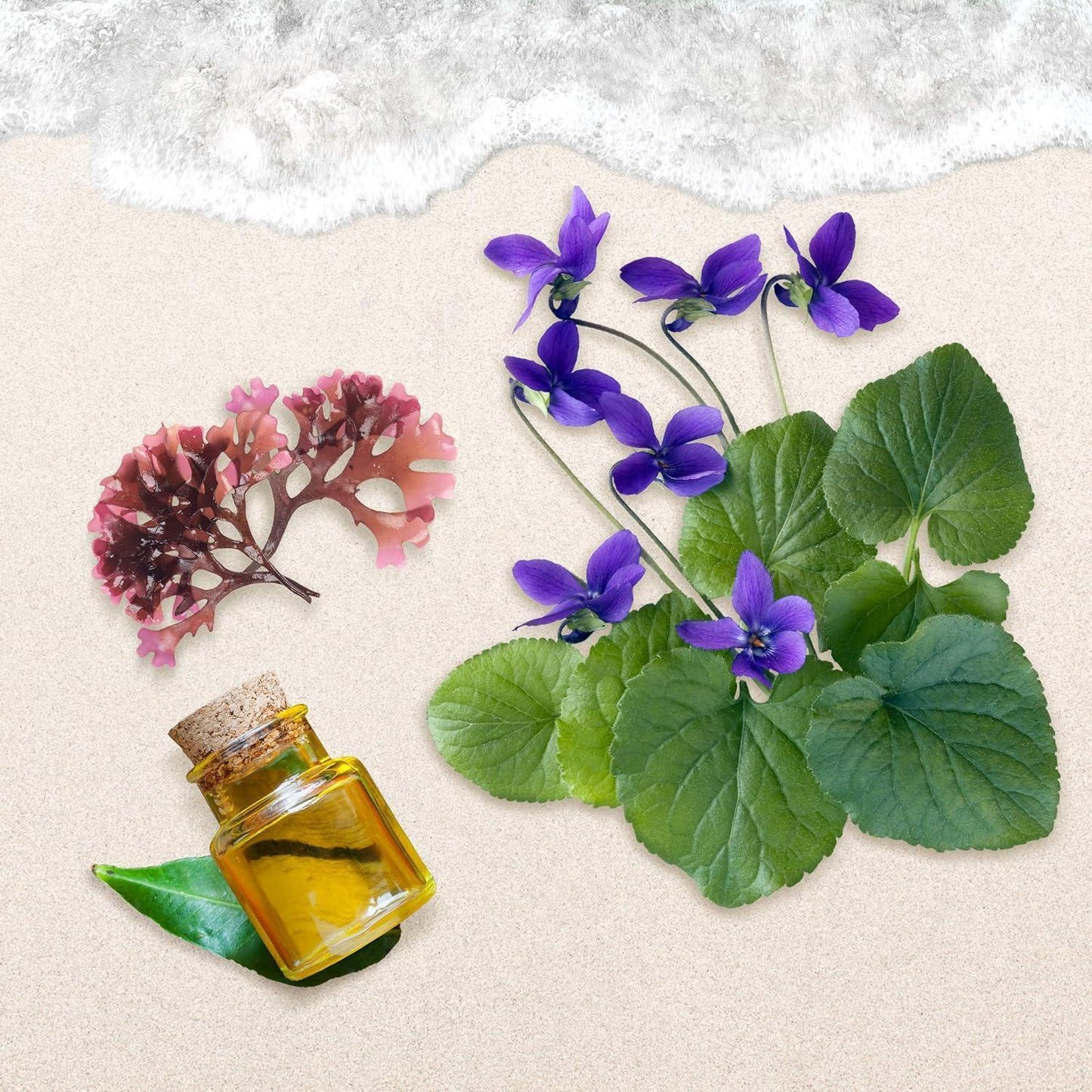 Small glass bottle with amber liquid, violet flowers and seaweed on sandy beach