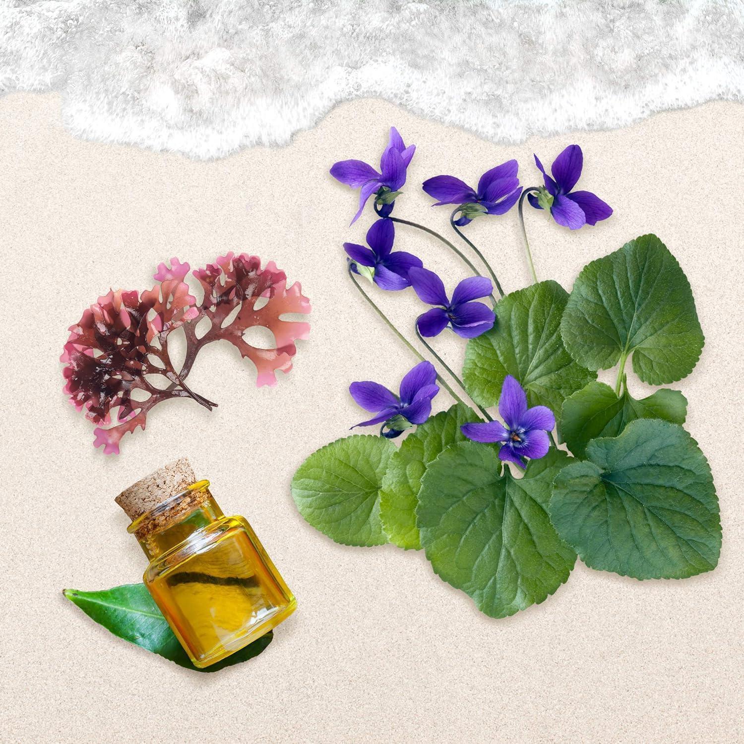 Small glass bottle with amber liquid, violet flowers and seaweed on sandy beach