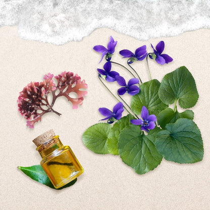 Small glass bottle with amber liquid, violet flowers and seaweed on sandy beach