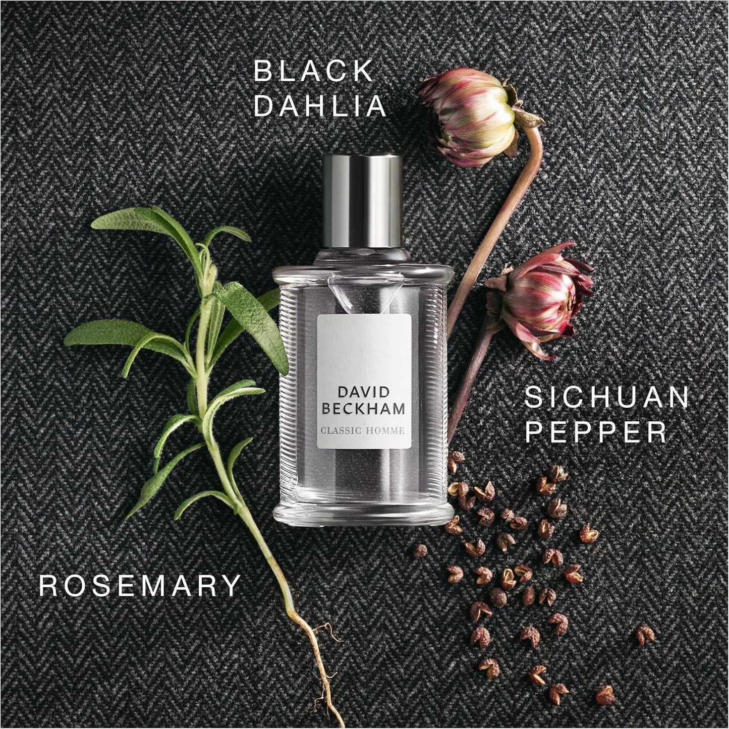 A1nmV3OI9vL._AC_SL1500 - Perfumoi