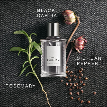A1nmV3OI9vL._AC_SL1500 - Perfumoi